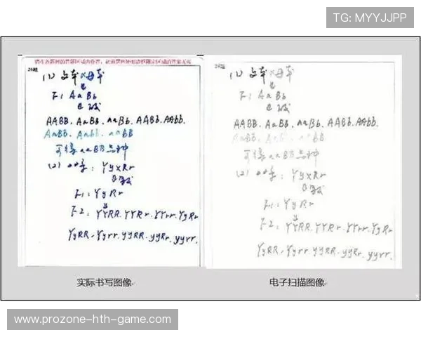 高考试卷诞生实录，命题专家如何把控难度，高考试卷是怎么命题的